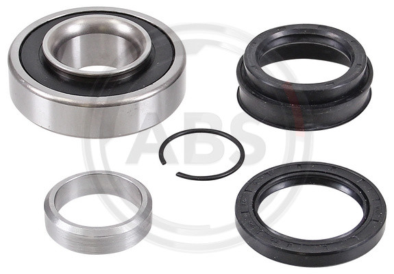 A.B.S. Radlagersatz