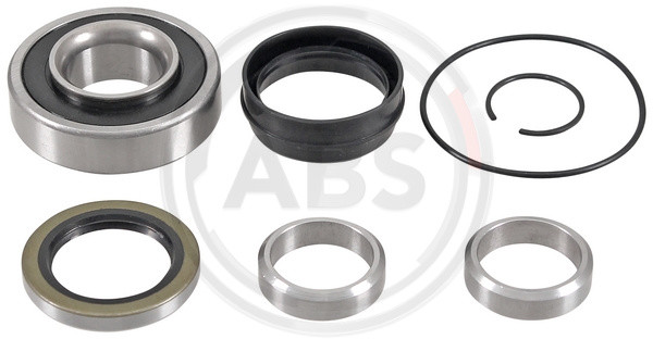 A.B.S. Radlagersatz