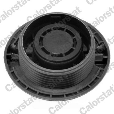 CALORSTAT by Vernet Verschlussdeckel, Kühlmittelbehälter