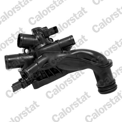 CALORSTAT by Vernet Thermostat, Kühlmittel