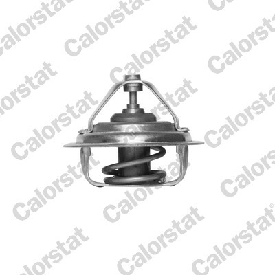 CALORSTAT by Vernet Thermostat, Kühlmittel