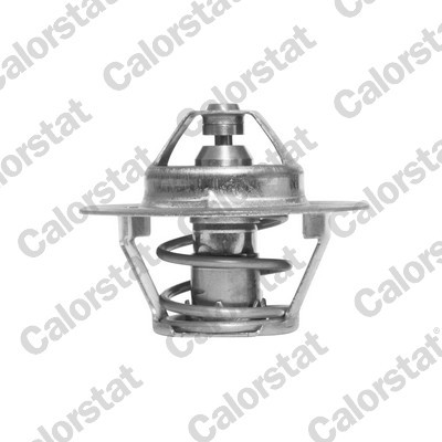 CALORSTAT by Vernet Thermostat, Kühlmittel