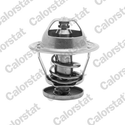 CALORSTAT by Vernet Thermostat, Kühlmittel