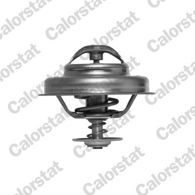 CALORSTAT by Vernet Thermostat, Kühlmittel