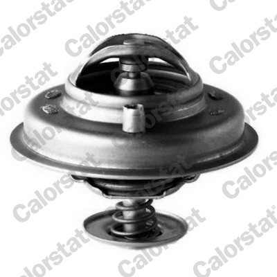 CALORSTAT by Vernet Thermostat, Kühlmittel