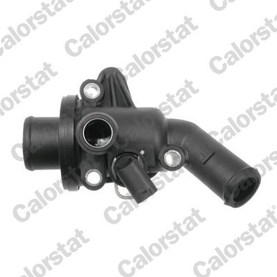 CALORSTAT by Vernet Thermostat, Kühlmittel