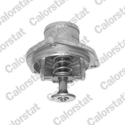 CALORSTAT by Vernet Thermostat, Kühlmittel