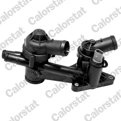 CALORSTAT by Vernet Thermostat, Kühlmittel