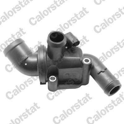 CALORSTAT by Vernet Thermostat, Kühlmittel