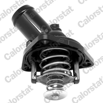 CALORSTAT by Vernet Thermostat, Kühlmittel