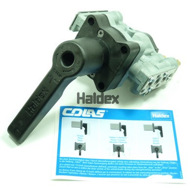 HALDEX Regler, Niveauregulierung