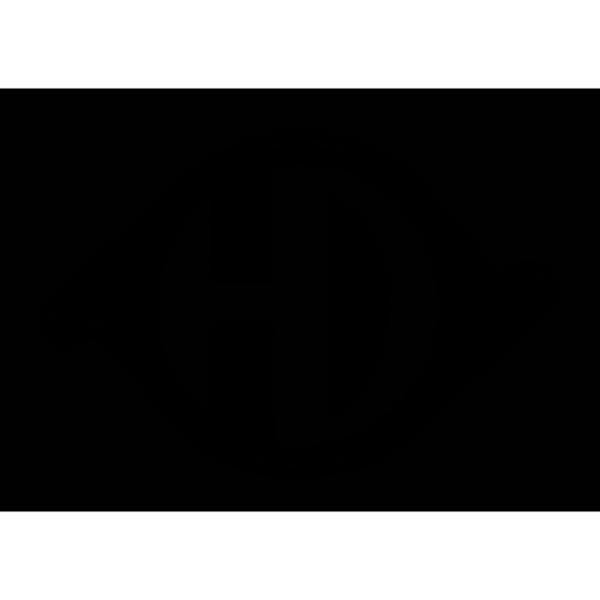 DIEDERICHS Nebelscheinwerfer