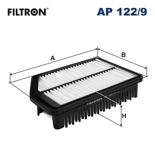FILTRON Luftfilter