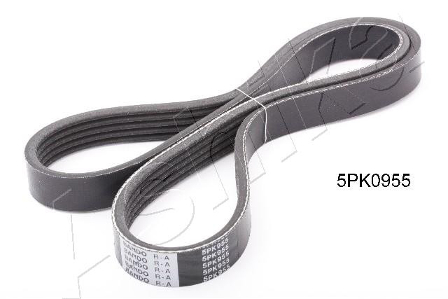 ASHIKA Keilrippenriemen