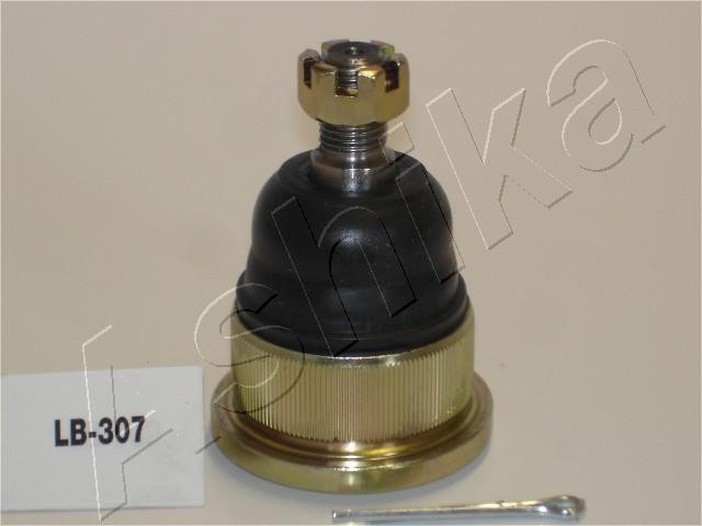 ASHIKA Trag-/Führungsgelenk