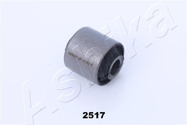 ASHIKA Lagerung, Lenker