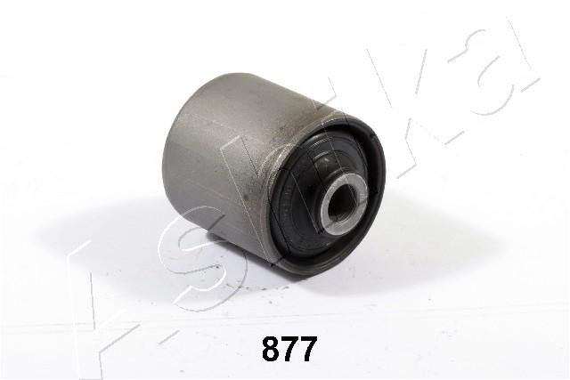 ASHIKA Lagerung, Lenker