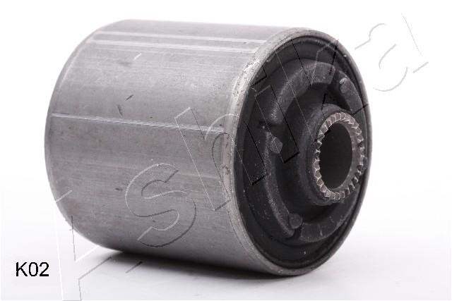 ASHIKA Lagerung, Lenker