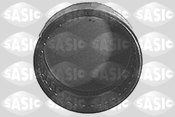 SASIC Lagerung, Achskörper