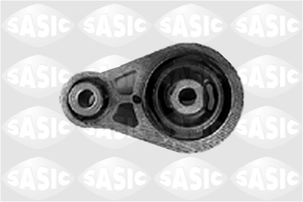 SASIC Lagerung, Motor