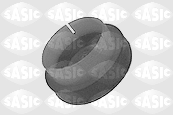 SASIC Lagerung, Achsträger