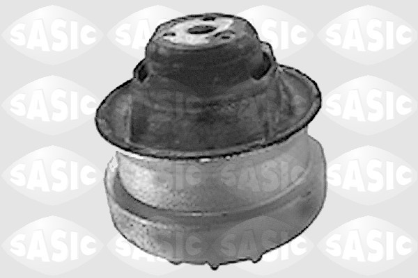 SASIC Lagerung, Motor