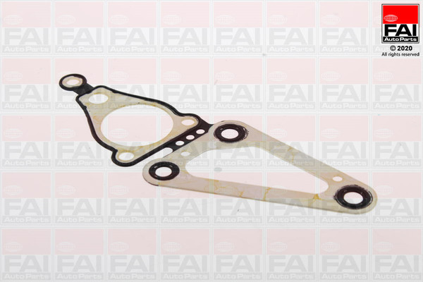 FAI AutoParts Dichtung, Steuergehäuse