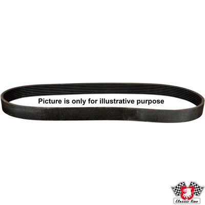 JP GROUP Keilrippenriemen