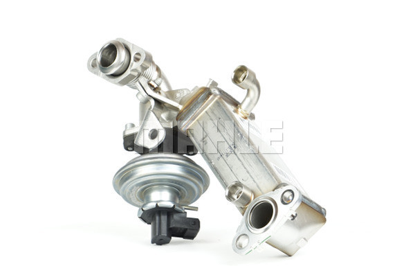 MAHLE Kühler, Abgasrückführung