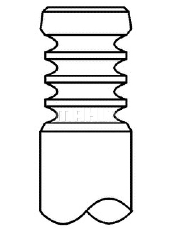 MAHLE Auslassventil