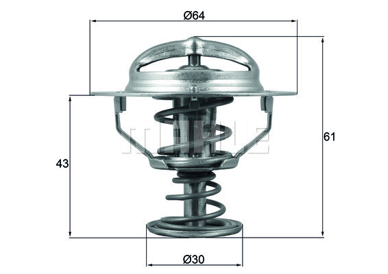 MAHLE Thermostat, Kühlmittel