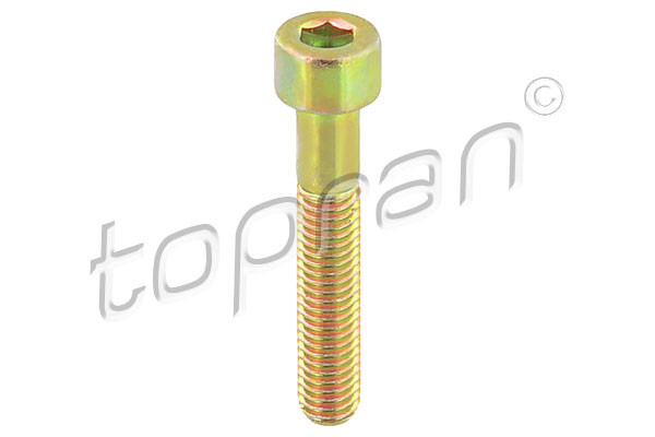 TOPRAN Schraube, Bremssattel