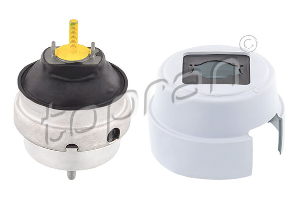 TOPRAN Lagerung, Motor