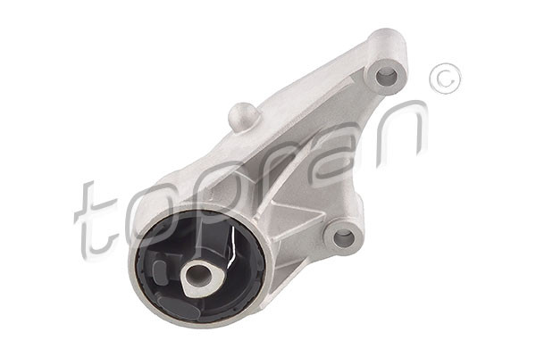 TOPRAN Lagerung, Motor