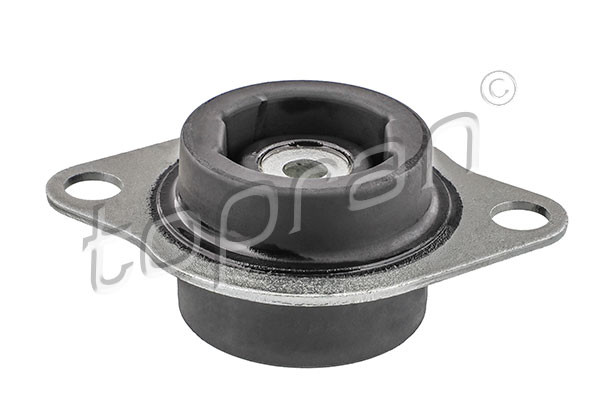 TOPRAN Lagerung, Motor