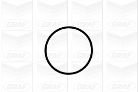 GRAF Wasserpumpe GRAF Wasserpumpe