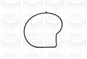 GRAF Wasserpumpe, Motorkühlung