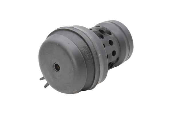 AUTOMEGA Lagerung, Motor