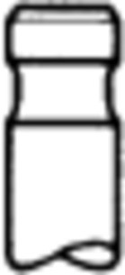 TRW Engine Component Einlassventil