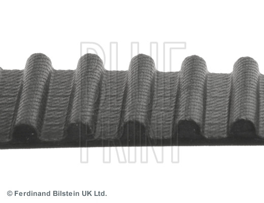 BLUE PRINT Zahnriemen