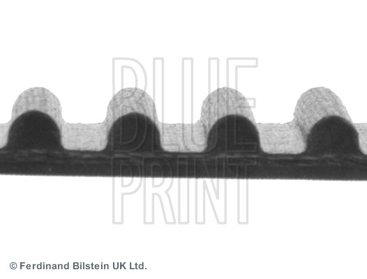 BLUE PRINT Zahnriemen