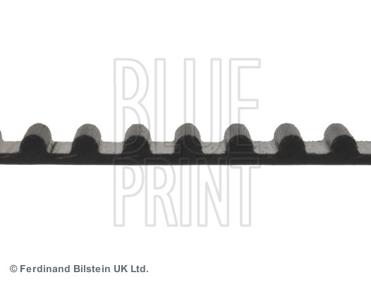 BLUE PRINT Zahnriemen