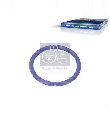 DT Spare Parts Dichtring