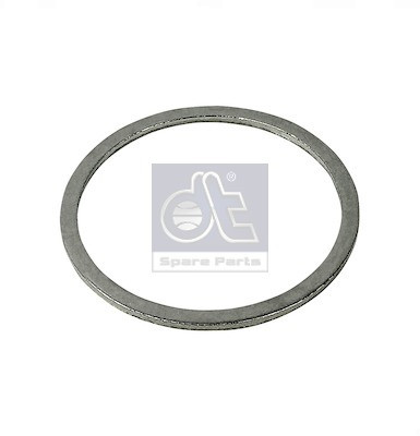 DT Spare Parts Dichtring, Achsschenkel