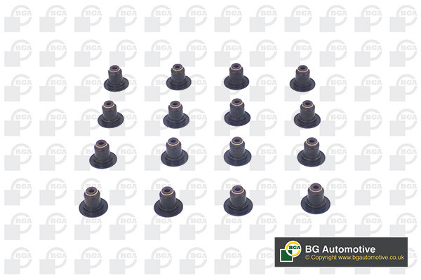 BGA Dichtungssatz, Ventilschaft