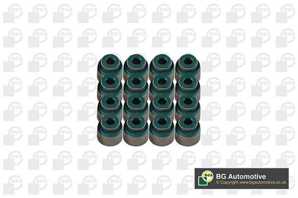 BGA Dichtungssatz, Ventilschaft