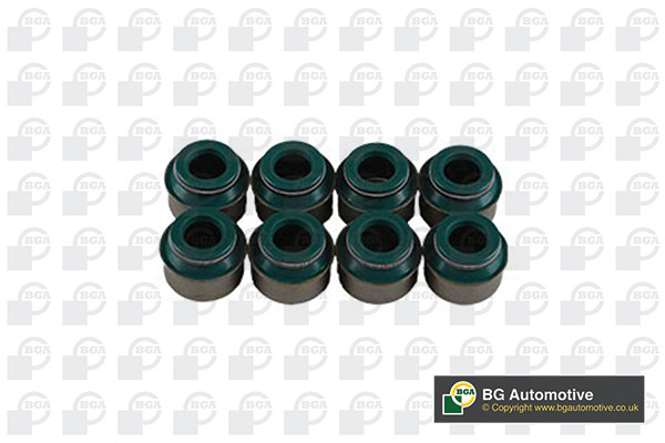 BGA Dichtungssatz, Ventilschaft