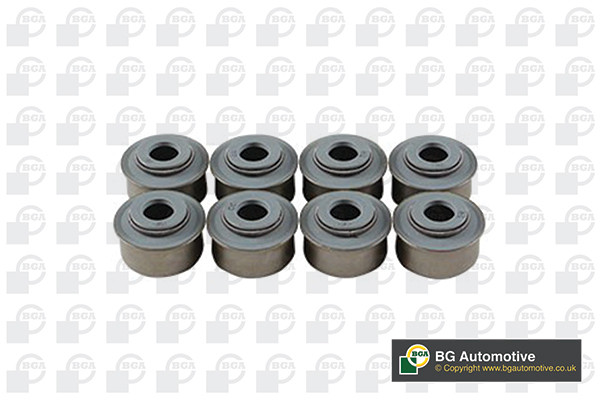 BGA Dichtungssatz, Ventilschaft