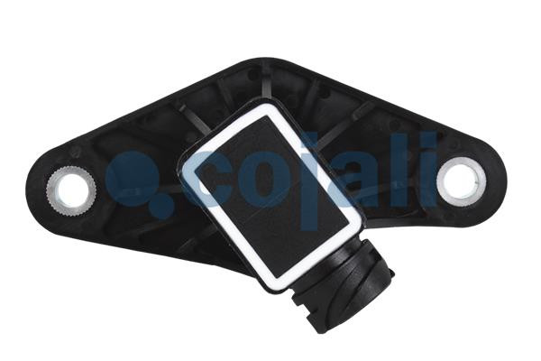 COJALI Sensor, Luftfederungsniveau