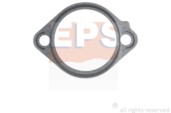 EPS Dichtung, Thermostat